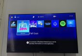 Ps4 slim + CD Valhala